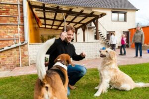 Entrenamiento de Perros