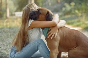 Relación entre Humanos y Perros