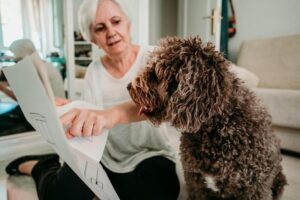 Cães afetuosos