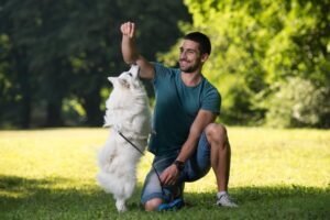 Tiempo de Calidad con Tu Perro