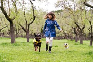 Cães Ideais para Praticantes de Atividades ao Ar Livre