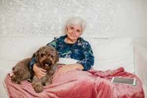 Perros Senior